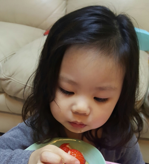 헤어룸 프린지 이미지