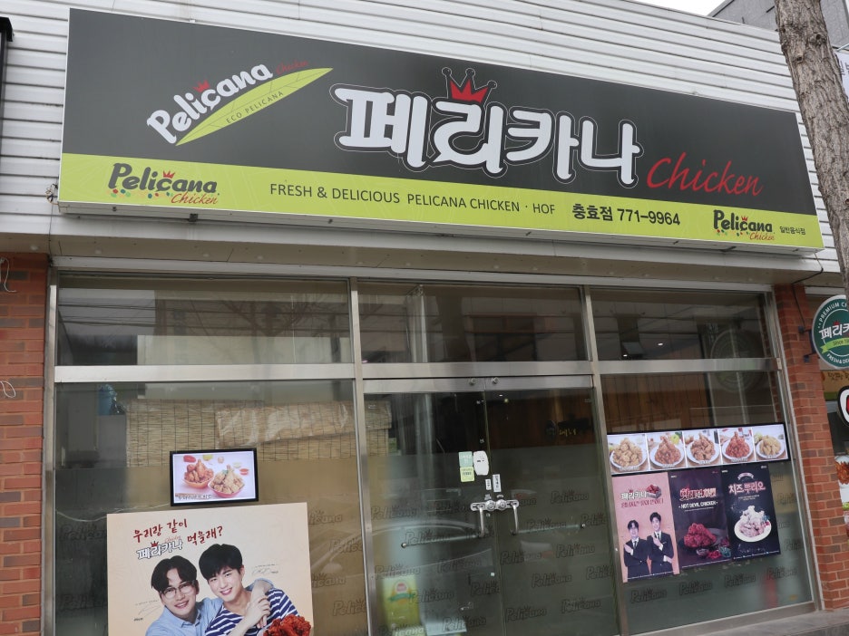페리카나 사진