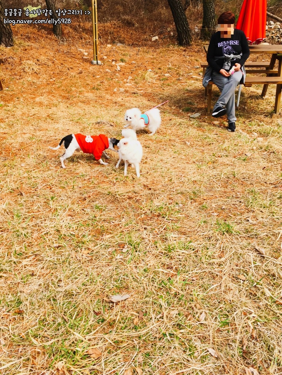 코코멍 이미지