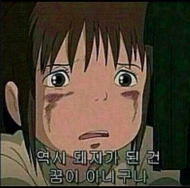 미홈케어 이미지