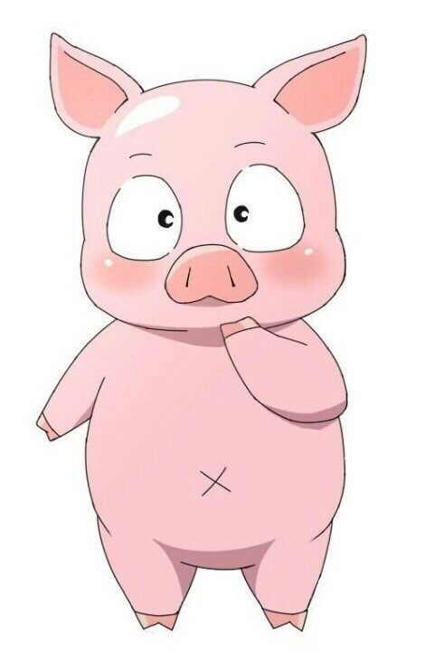 돼지꿈 이미지