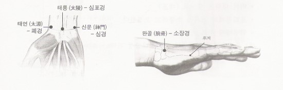 응급사혈자리와 12경맥의 주요 혈자리 : 네이버 블로그
