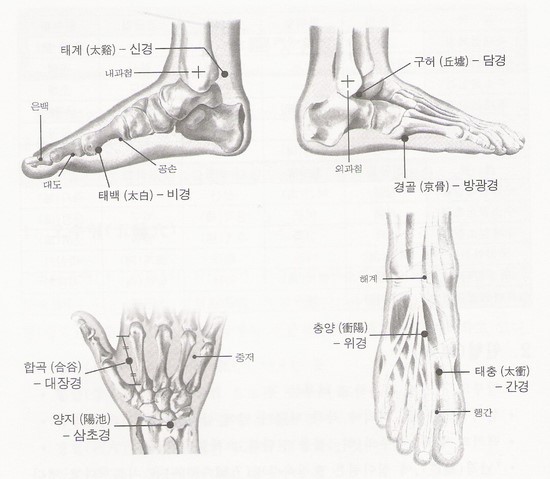 응급사혈자리와 12경맥의 주요 혈자리 : 네이버 블로그