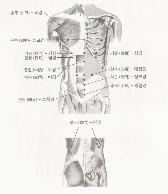 응급사혈자리와 12경맥의 주요 혈자리 : 네이버 블로그