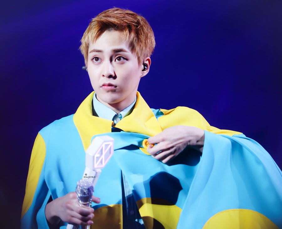 데이민 이미지