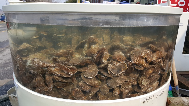 벚굴식당 이미지