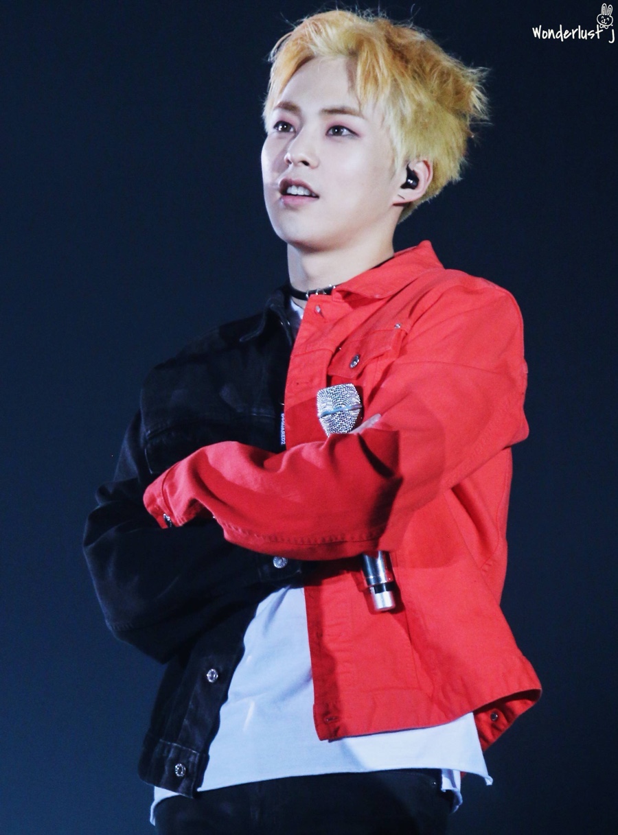 데이민 이미지