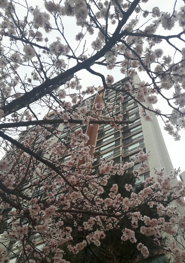 경주박가네국밥 이미지