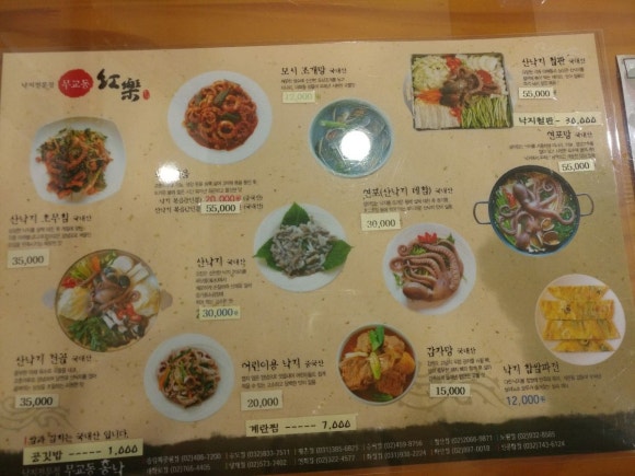 낙지무교동홍낙 이미지