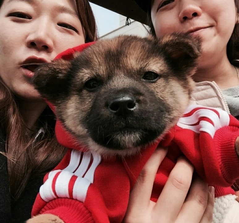 할로커피숍 이미지