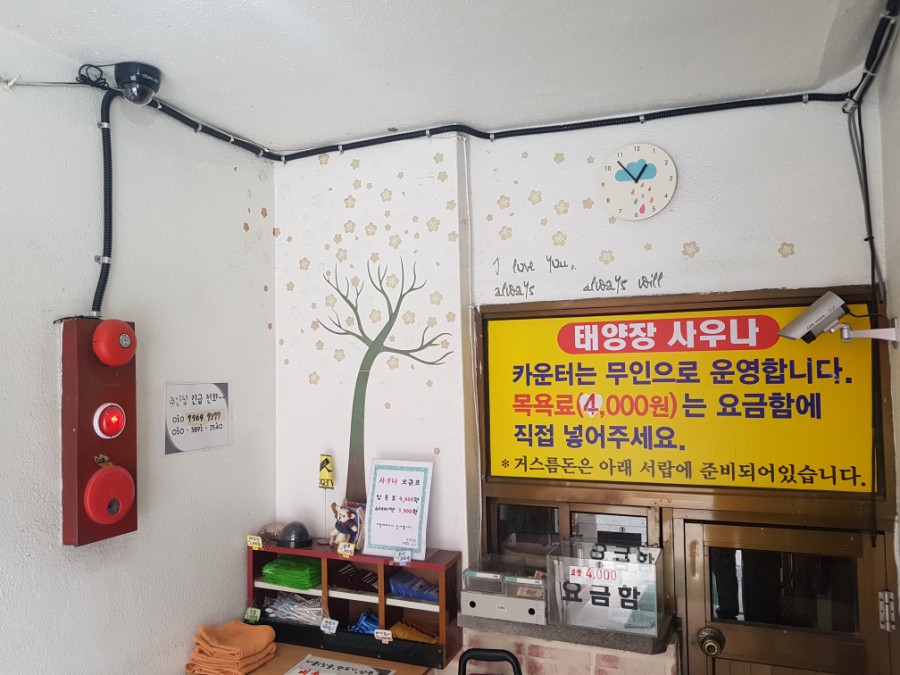 태양장 이미지