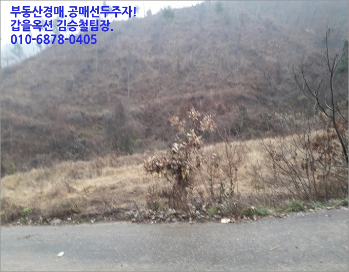 진안전컨설팅 이미지