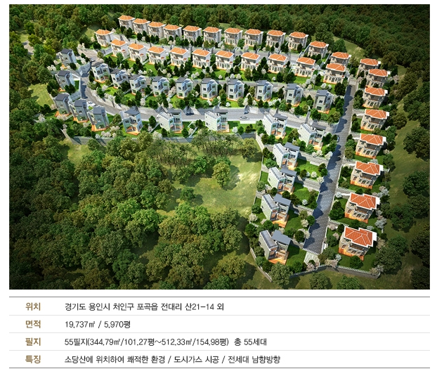 라이온캐슬 이미지