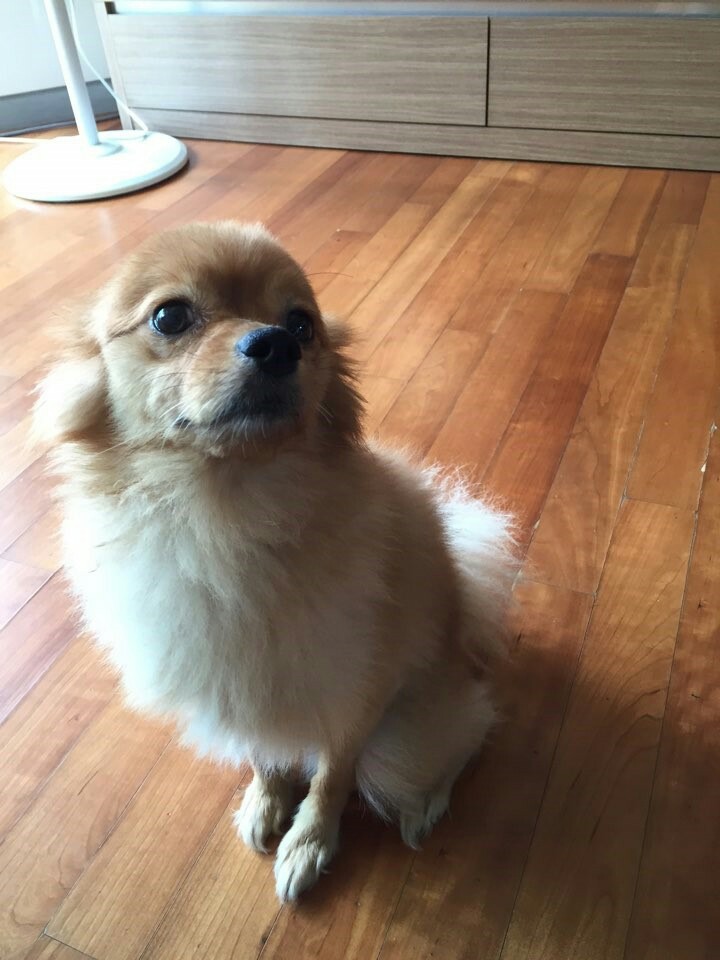 아씨노래방 이미지