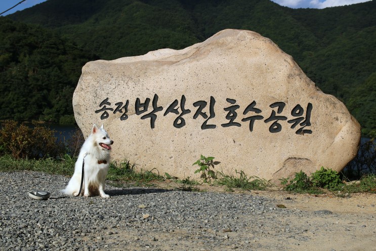 호수공원사거리 이미지