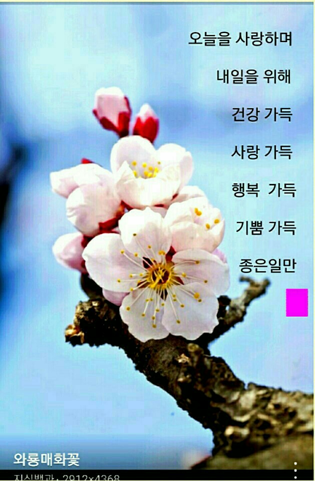 한국전문강사지도자협회 이미지