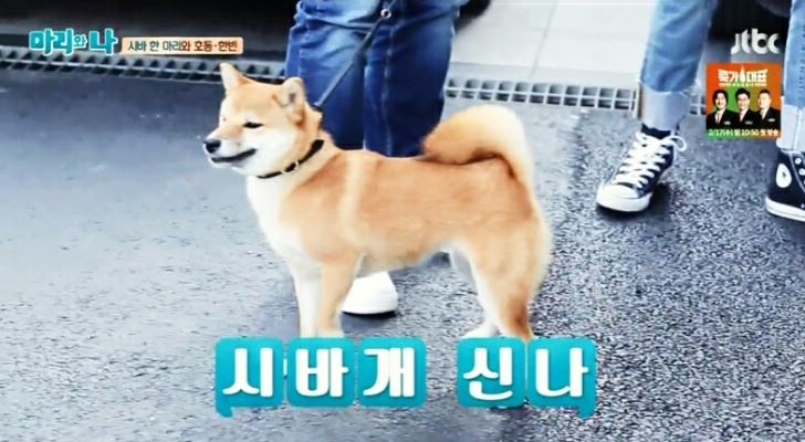 강북동태찜 이미지