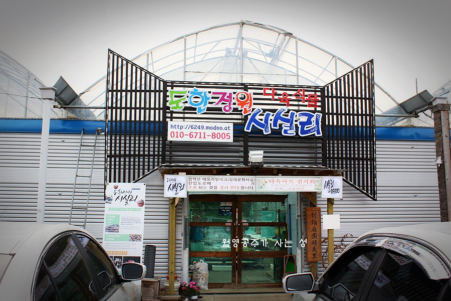 도한정원 시실리 이미지