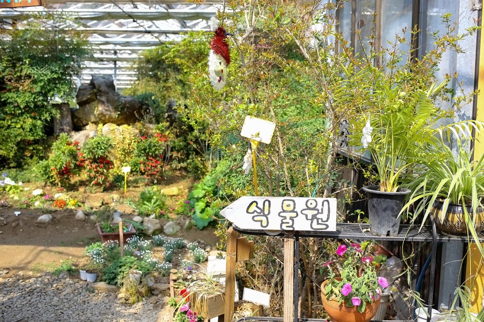 원주식물원 이미지