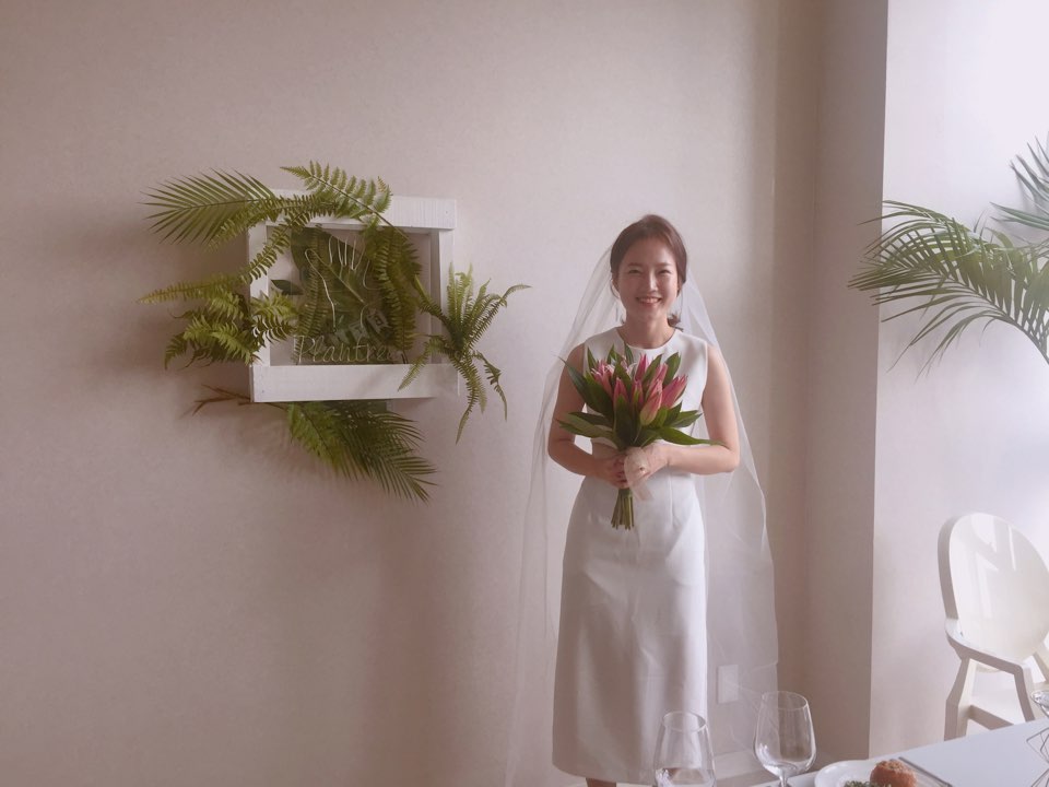 플랜트리 이미지