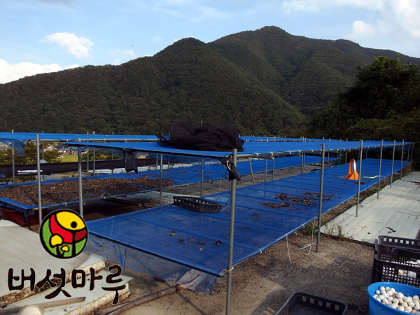 (주)고래실 이미지