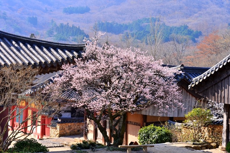 성지불교사 이미지
