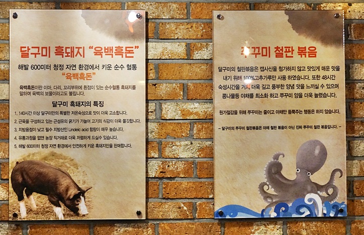달구미 이미지