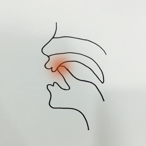 조음위치 조음방법, 올바른 혀의 위치 : 네이버 블로그