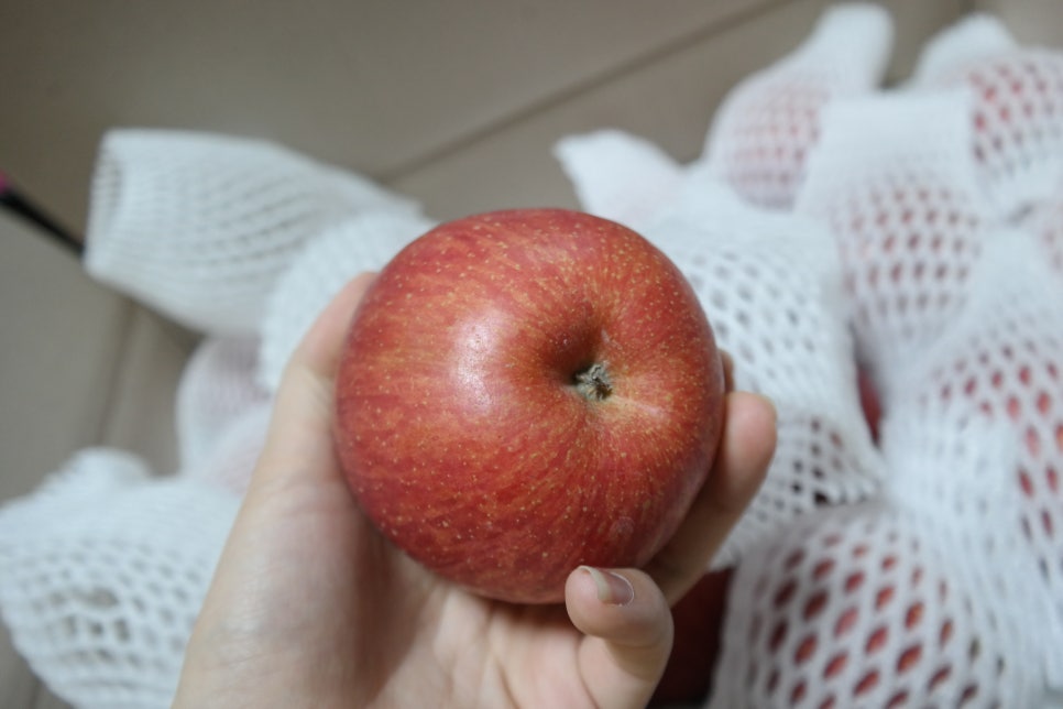 청송농산 이미지