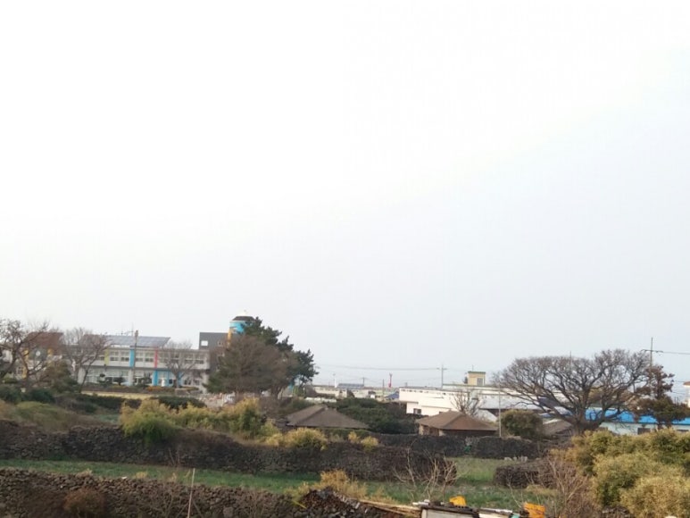 그래채 이미지