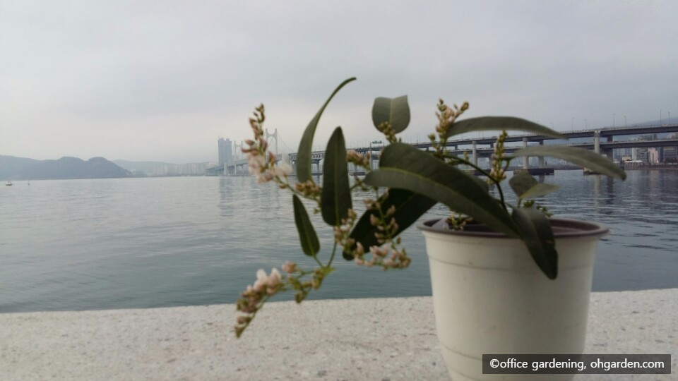 삼층다방 이미지