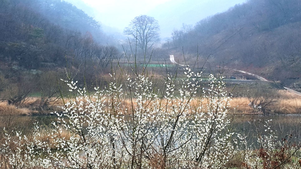 순창슈퍼 이미지