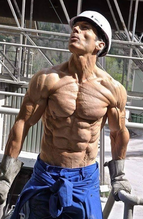 헬무트 이미지