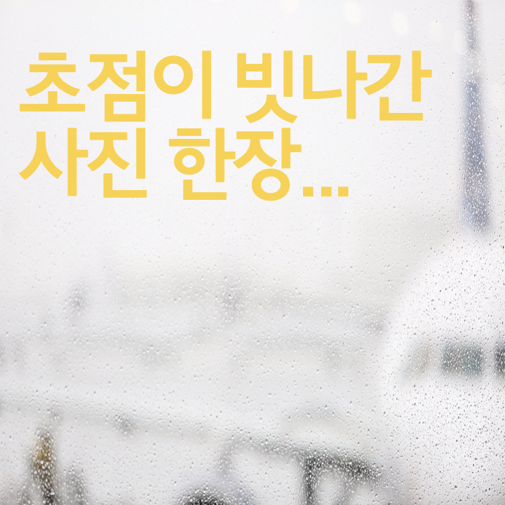 베이스네트웍스 이미지
