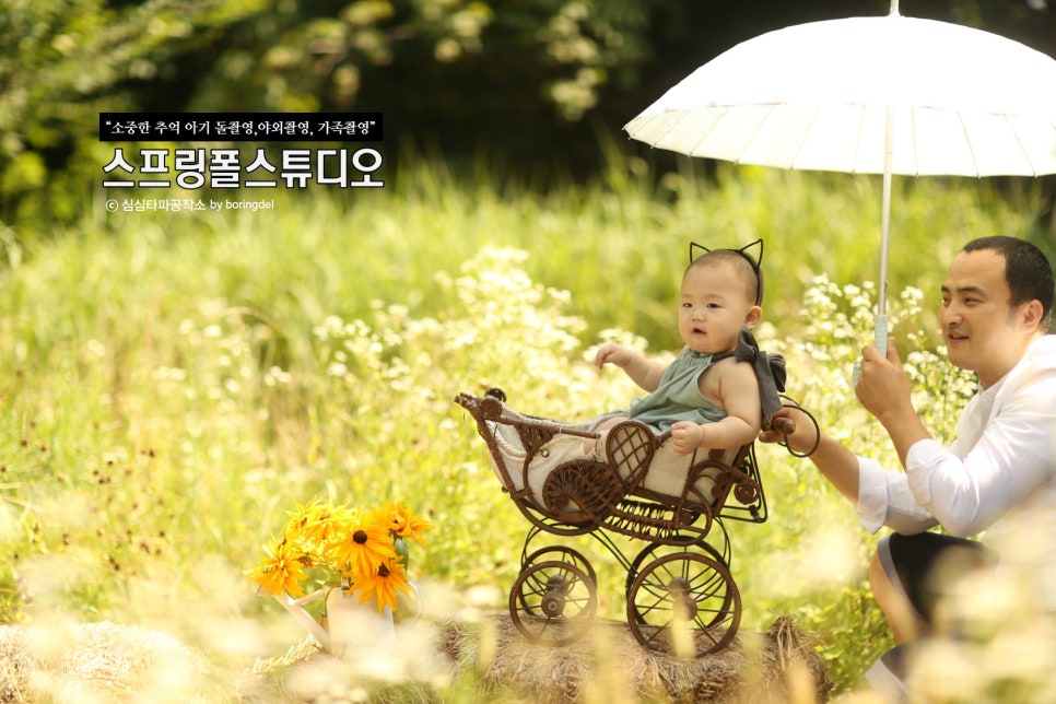 스프링폴스튜디오 이미지