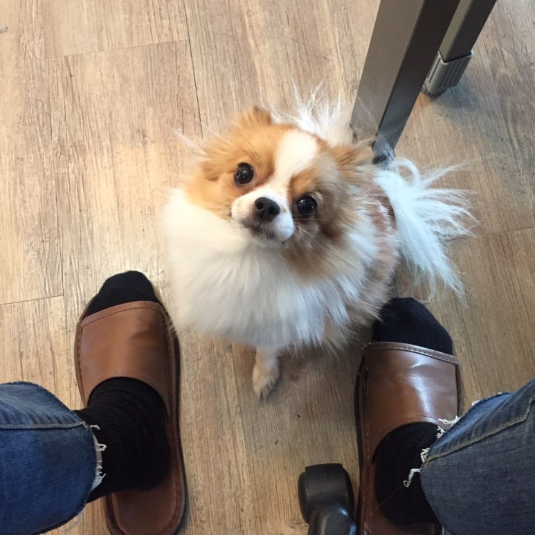 코코컴즈 이미지