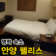 안양로138번길 이미지