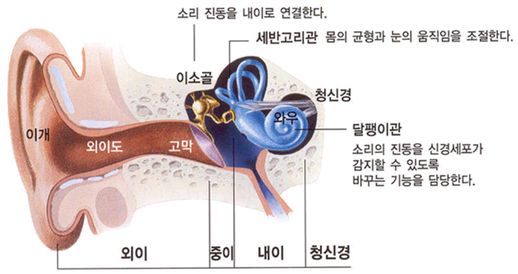 메디컬 보청기 이미지