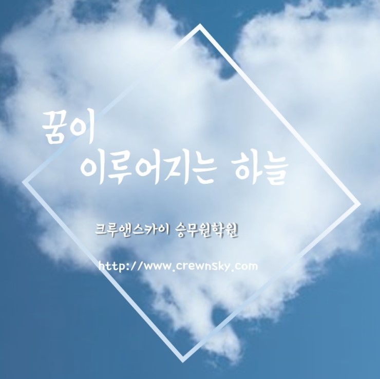 스카이크루 이미지