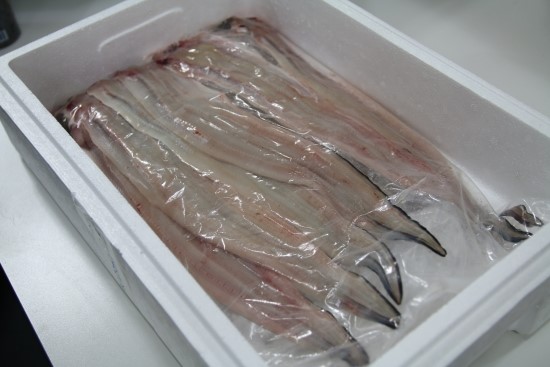 싱싱드림수산 이미지
