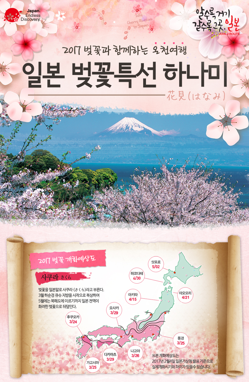 모두여행센터 이미지