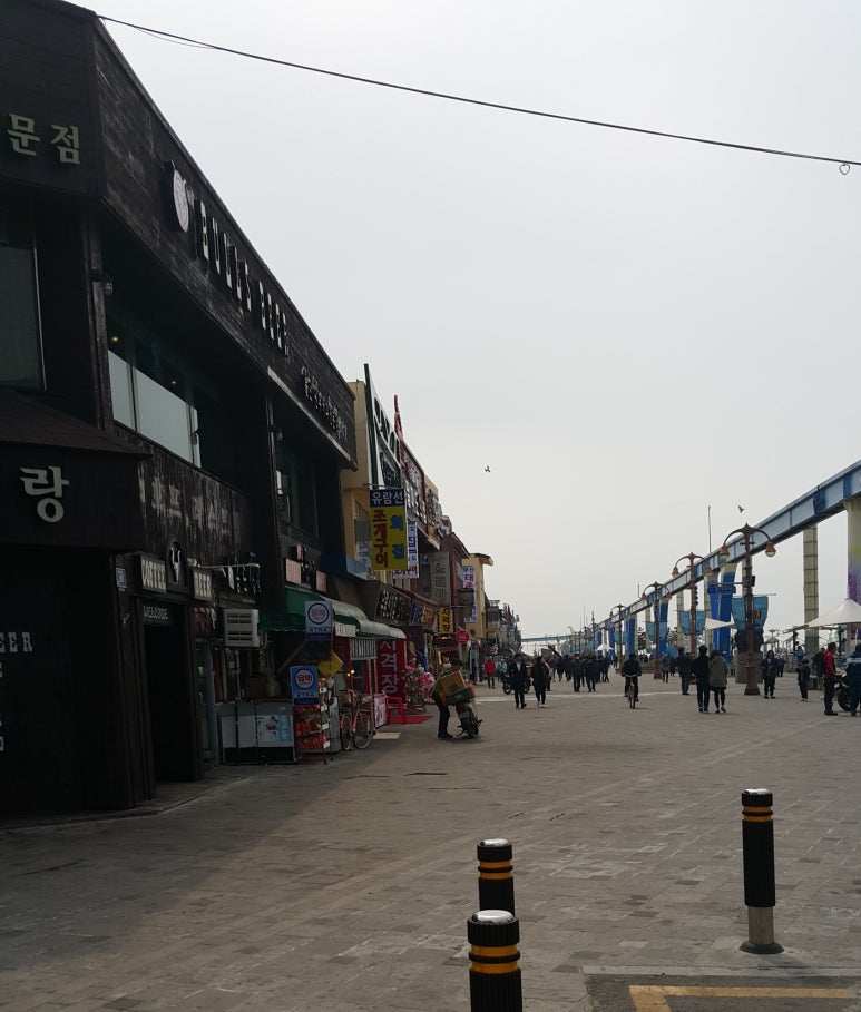 하이퍼횟집 이미지