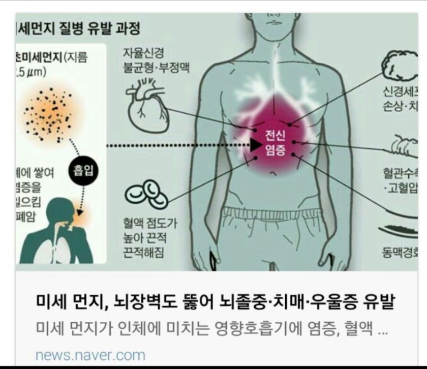 블루웰 이미지