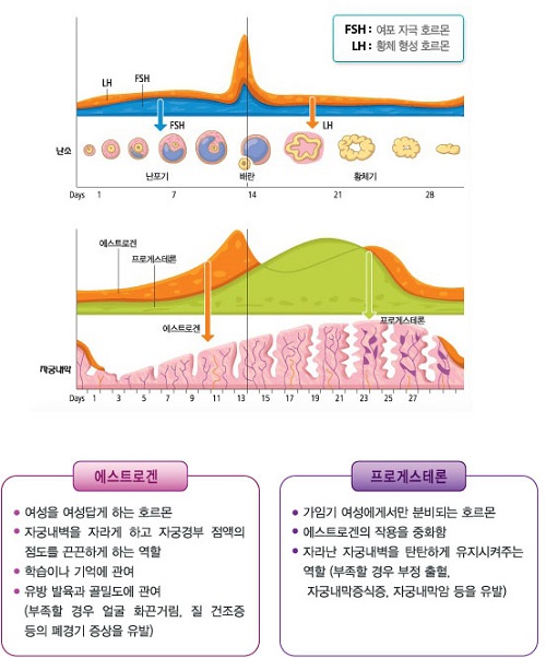 북가좌동헬스 이미지