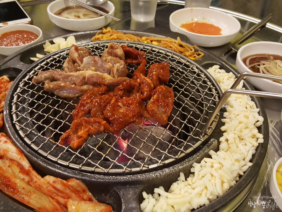 청춘갈매기 이미지