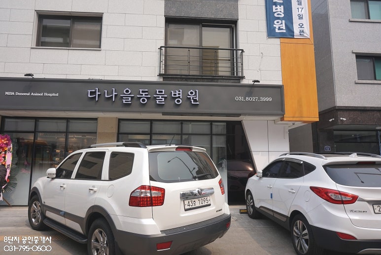 돈스닭스 이미지
