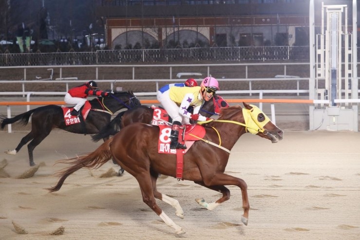 파이널나인서울 이미지