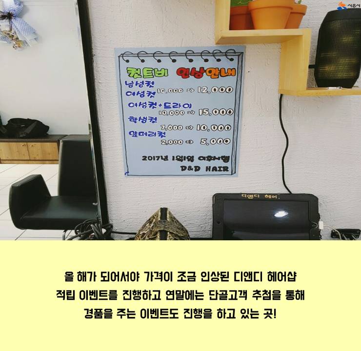 디앤디헤어 이미지