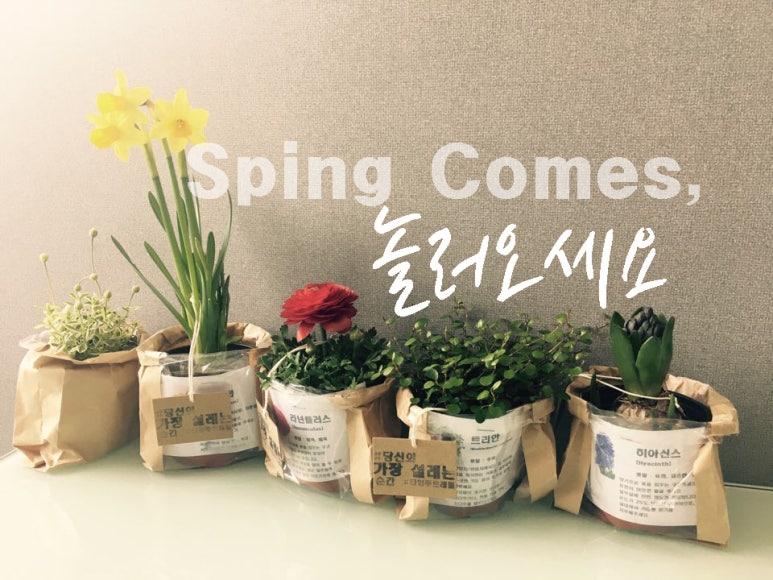타임투트래블 이미지