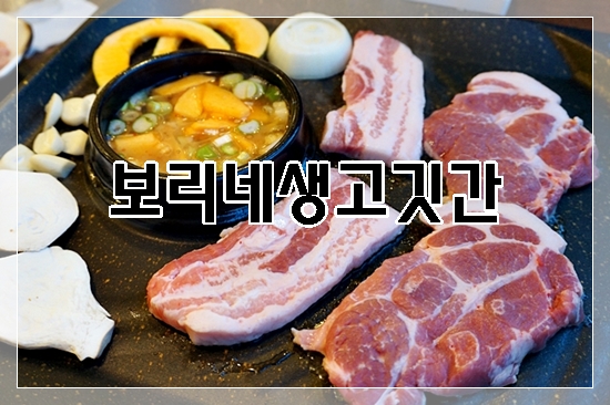 돼지보리네 이미지